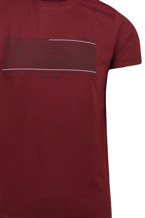  Man’s bordeuax cotton t-shirt 