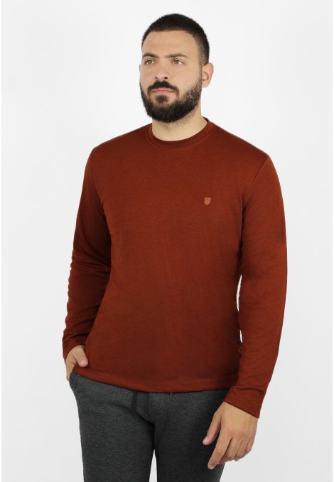 Man's dark red cotton t-shirt