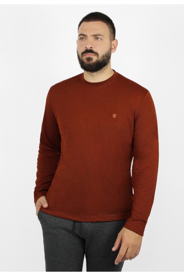 Man's dark red cotton t-shirt