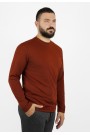 Man's dark red cotton t-shirt