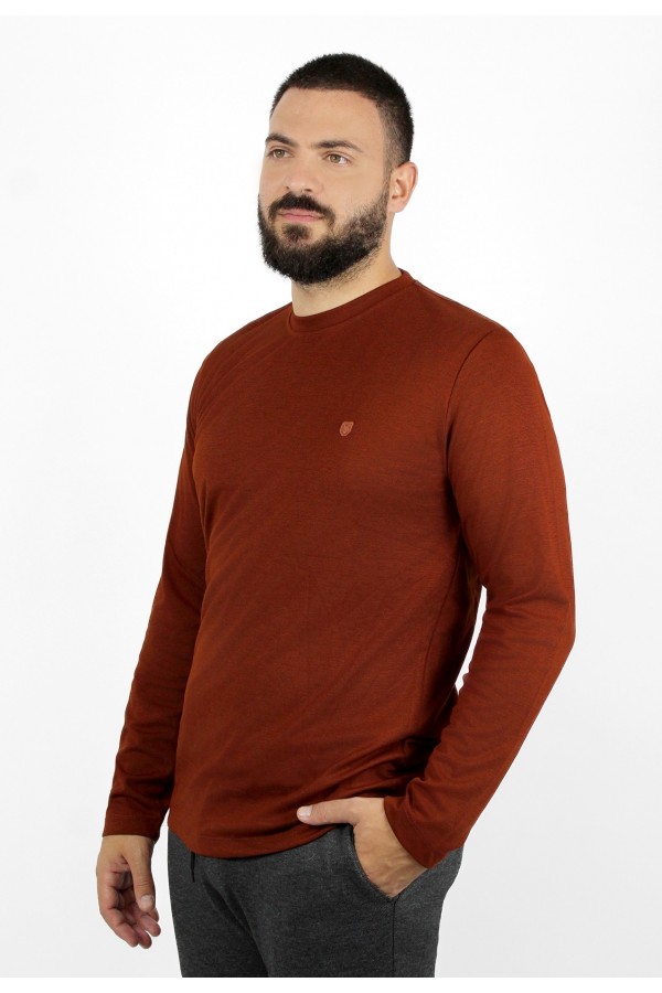 Man's dark red cotton t-shirt